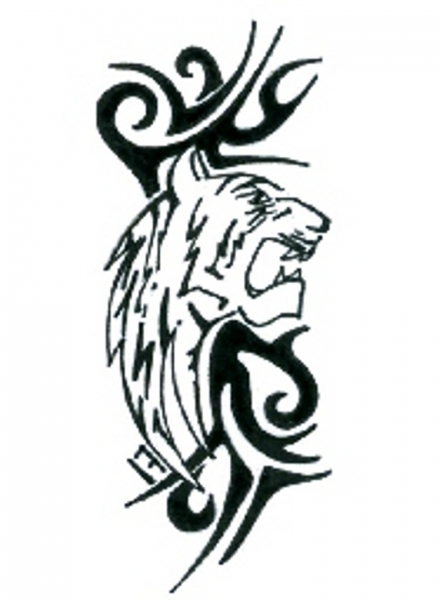 Card image cap